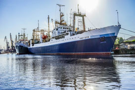 Фотография экскурсии от профессионального гида