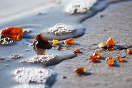 Фотография экскурсии от профессионального гида