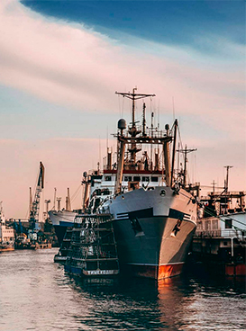 Фотография экскурсии от профессионального гида