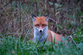 Фотография экскурсии от профессионального гида