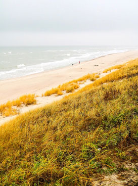 Фотография экскурсии от профессионального гида