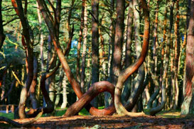 Фотография экскурсии от профессионального гида