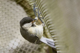Фотография экскурсии от профессионального гида