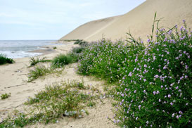 Фотография экскурсии от профессионального гида