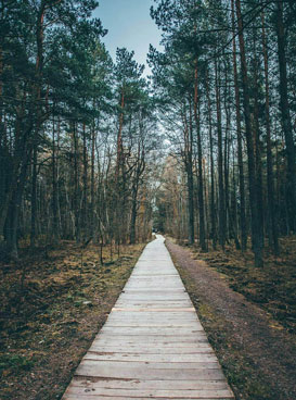 Фотография экскурсии от профессионального гида