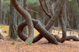 Фотография экскурсии от профессионального гида