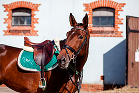 Фотография экскурсии от профессионального гида
