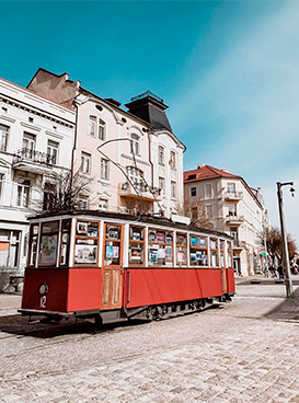 Фотография экскурсии от профессионального гида